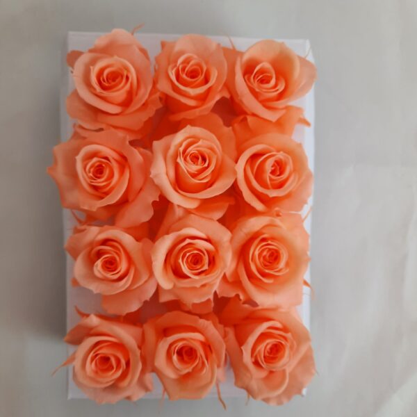 12pcs. Roses pechê