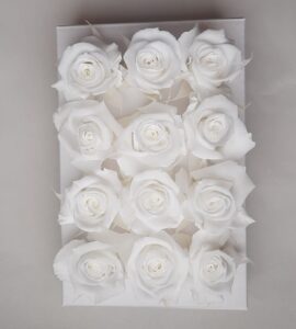 12pcs. Roses blanc