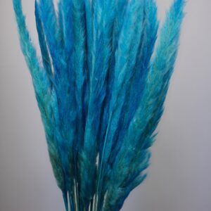 20pcs Pampa Fluffy bleu clair