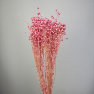 Lino Vlas pink