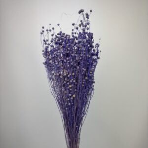 Lino Vlas lavender