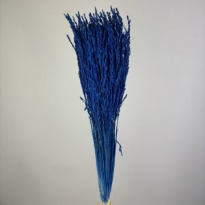 Rice Grass blue