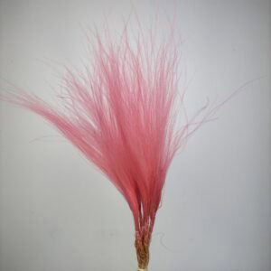 10pcs. Stipta Penata pink