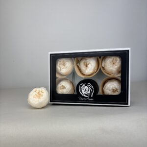 Preserved Peonies champagne 6pcs